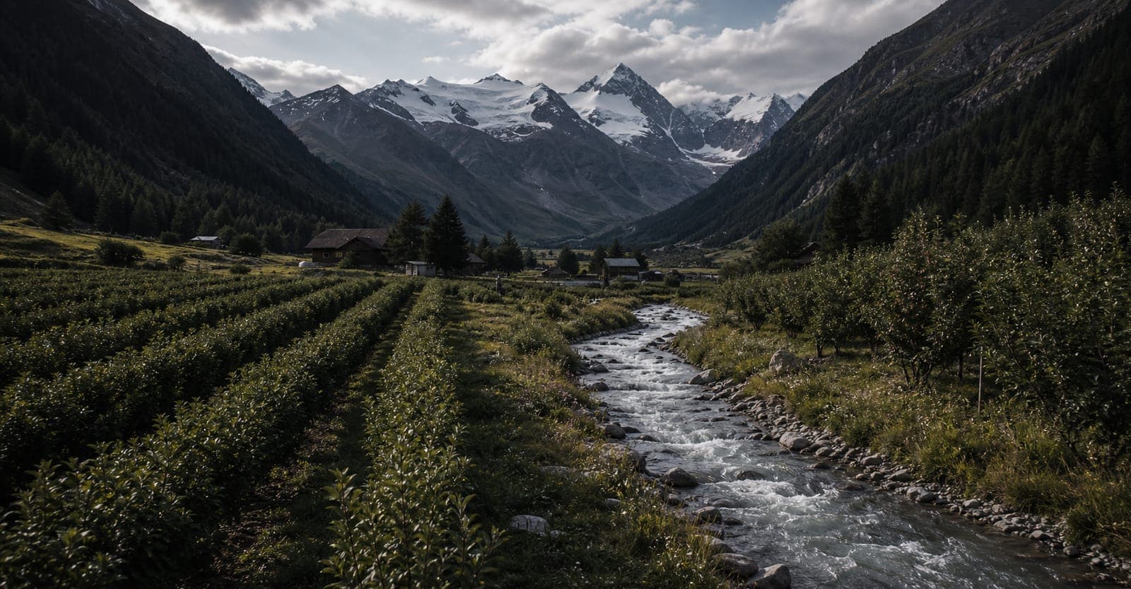 Martelltal im Ortlergebiet mit Beerenfeldern, Wasser und hohen Bergen