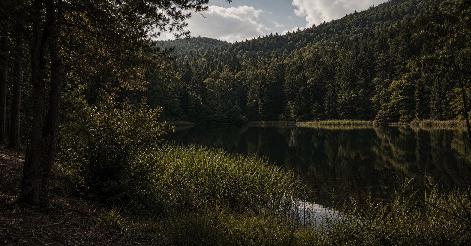 Montiggler Seen im Überetsch mit Wald, Schilf und dunklem Wasser